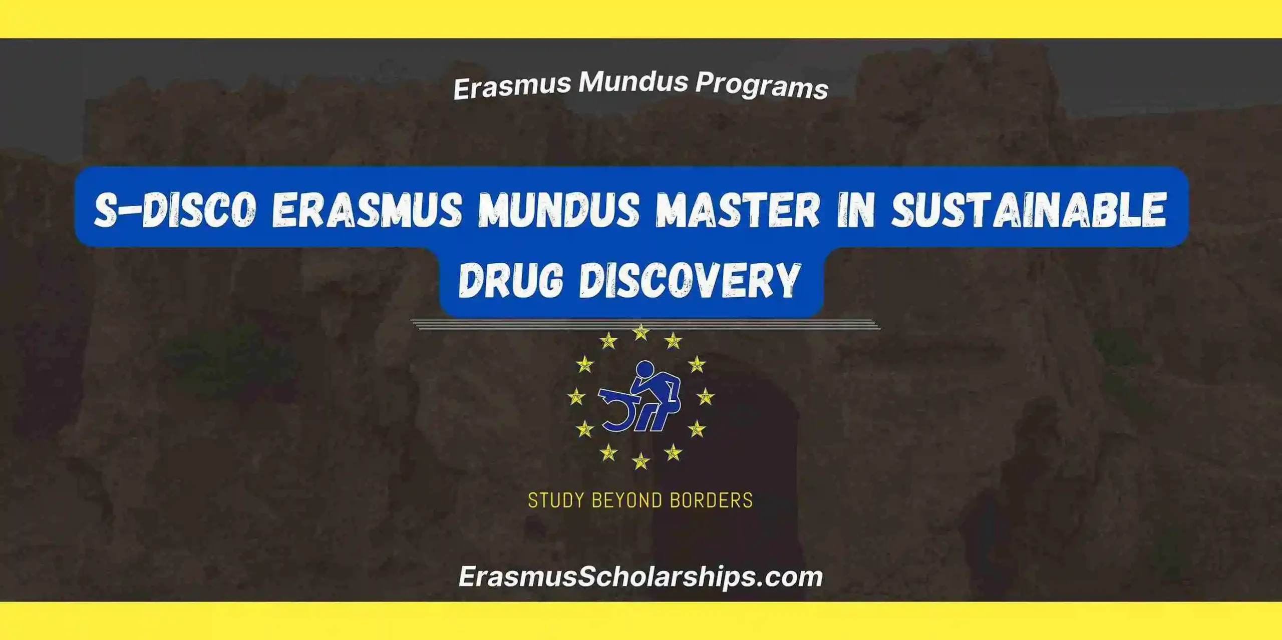 S-DISCO Erasmus Mundus